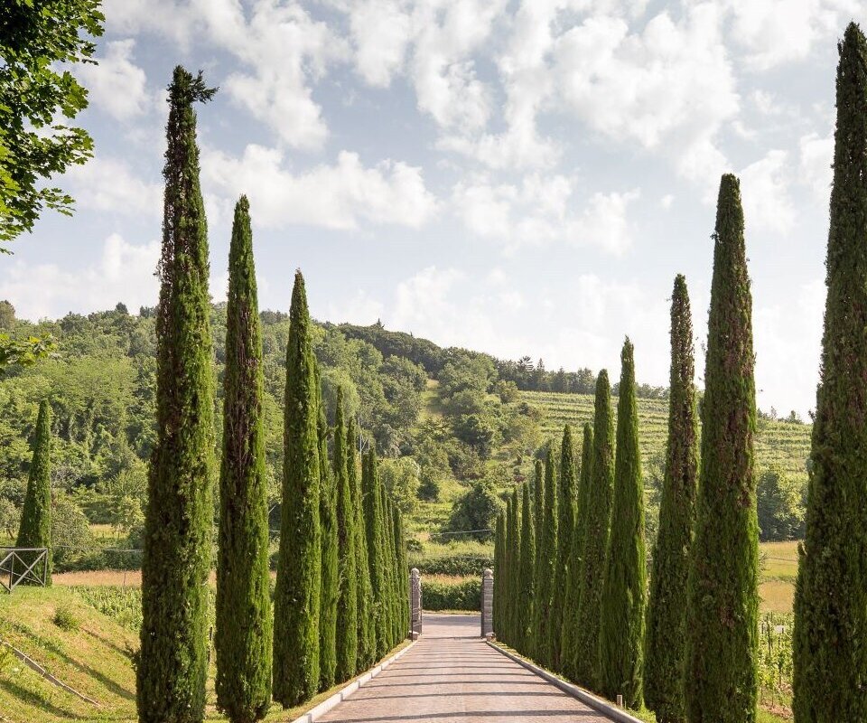 Proxyvfs.axd Image R346930 File Jpg