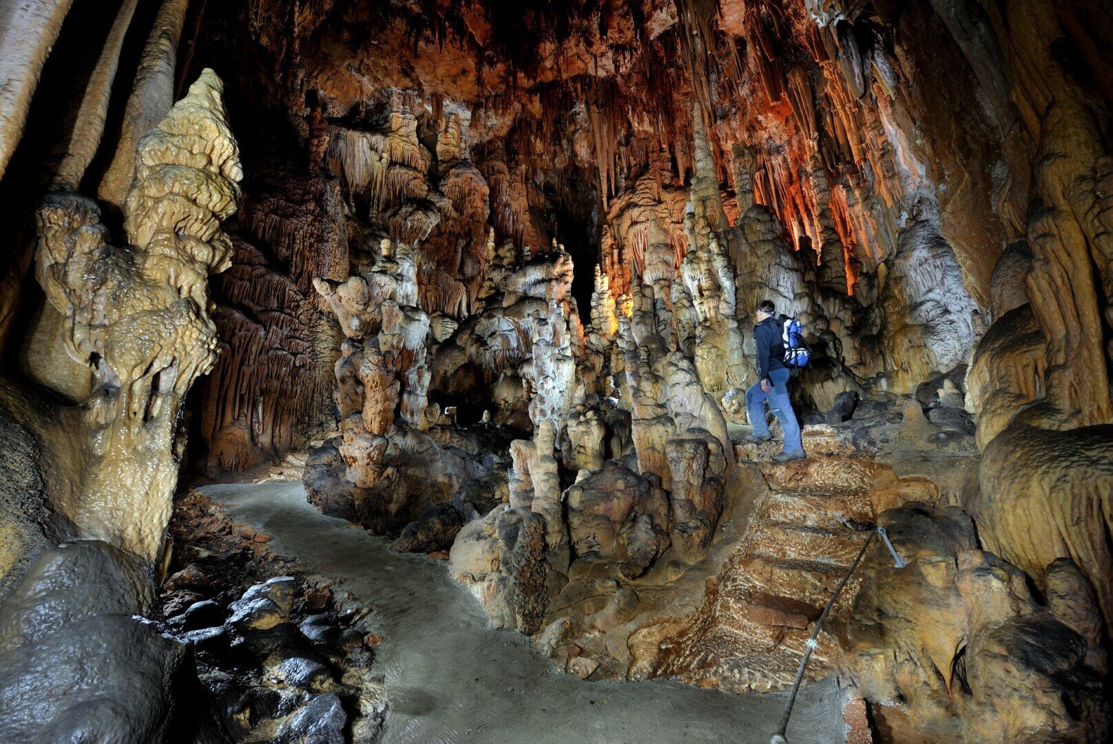 The Divača Cave The Divača Cave