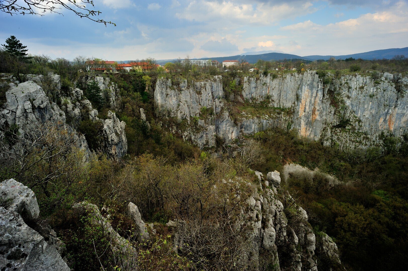 The Risnik collapse doline The Risnik collapse doline