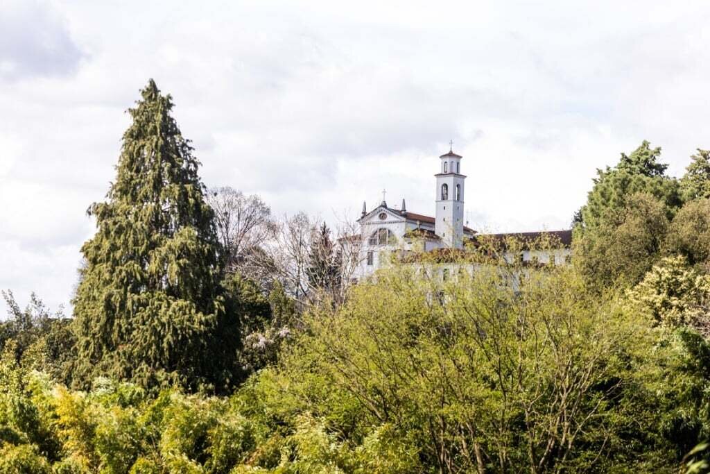 Files 12071 Cache C Prw Mong Odprtjeparkarafut2 02 04 24 Fotoanarojc 124 Web C Prw