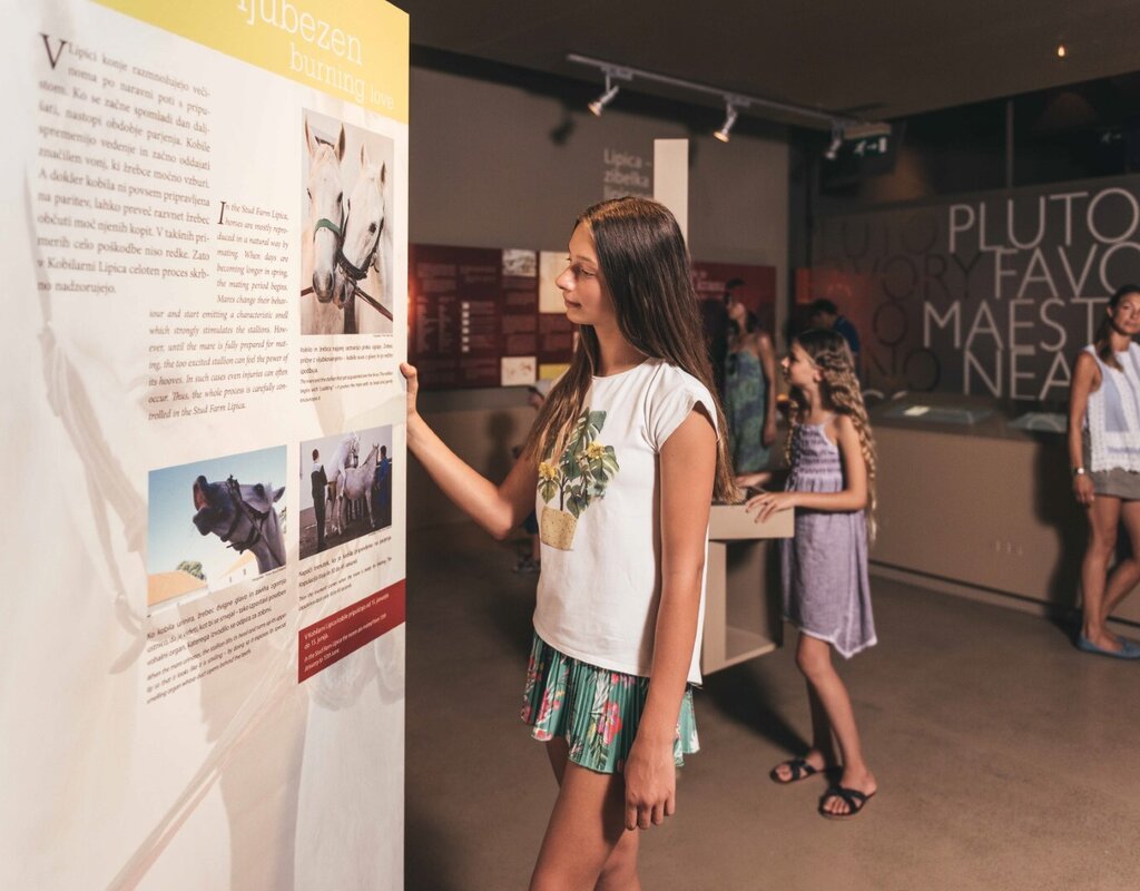 Lipikum, il Museo del cavallo Lipizzano, Lipica