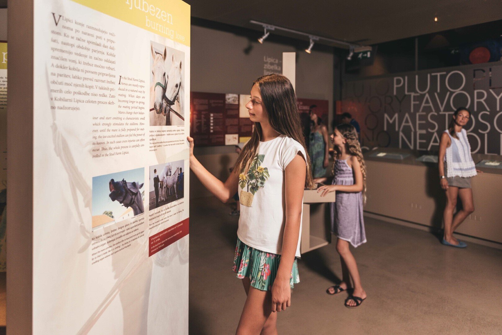 Lipikum, il Museo del cavallo Lipizzano, Lipica