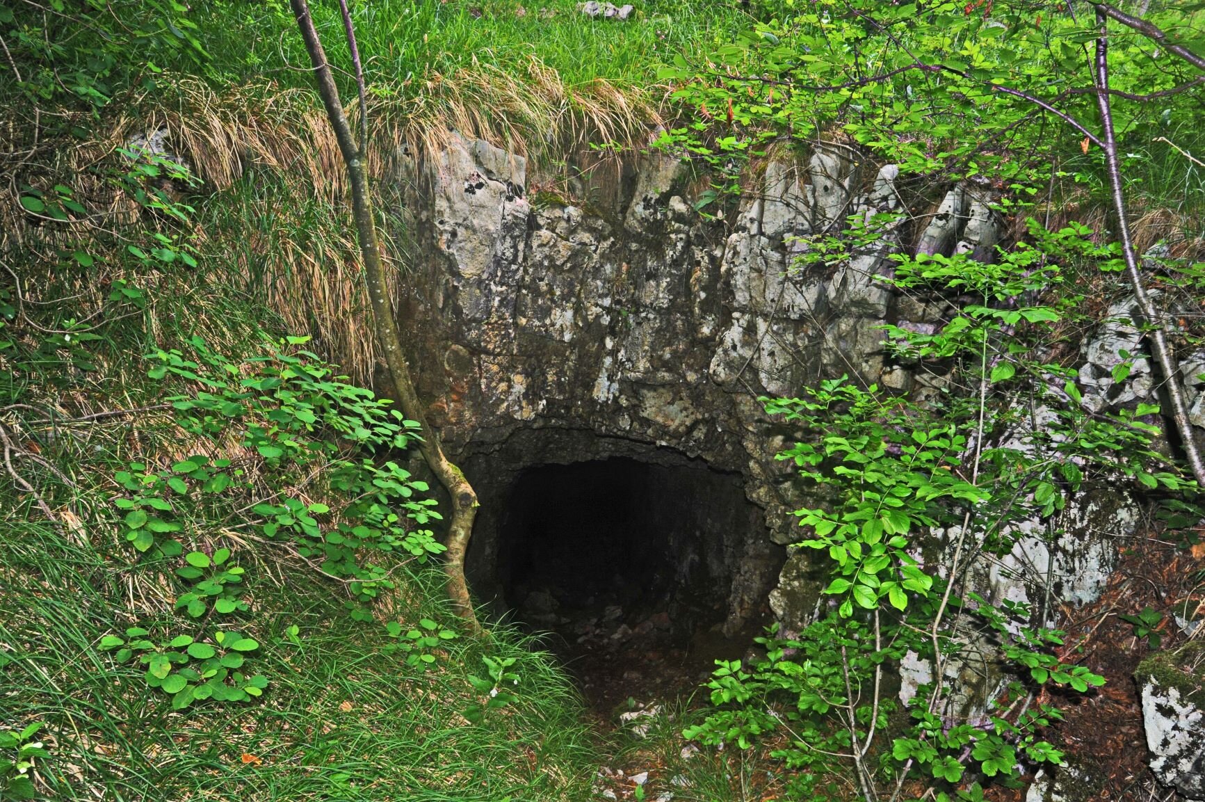 Grotta di Lojza Grotta di Lojza