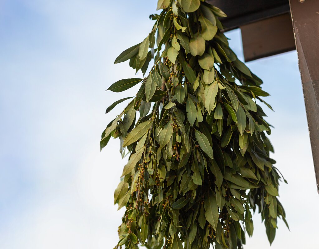 Upload Gallery 30 Web Res 