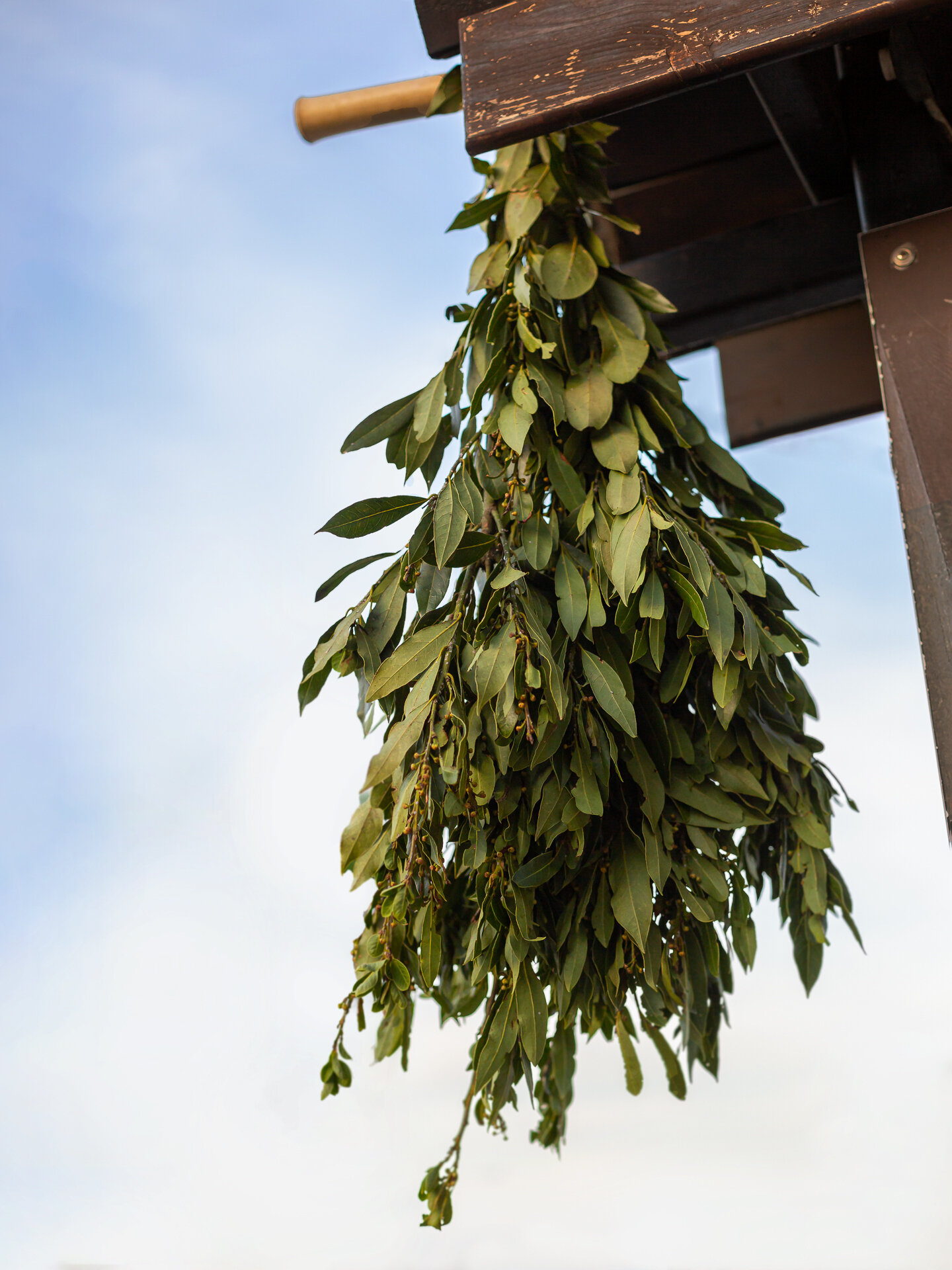 OSMICA turistična kmetija Faganeli