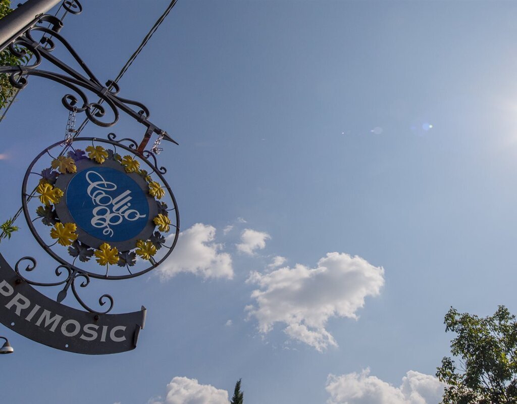 Primosic
