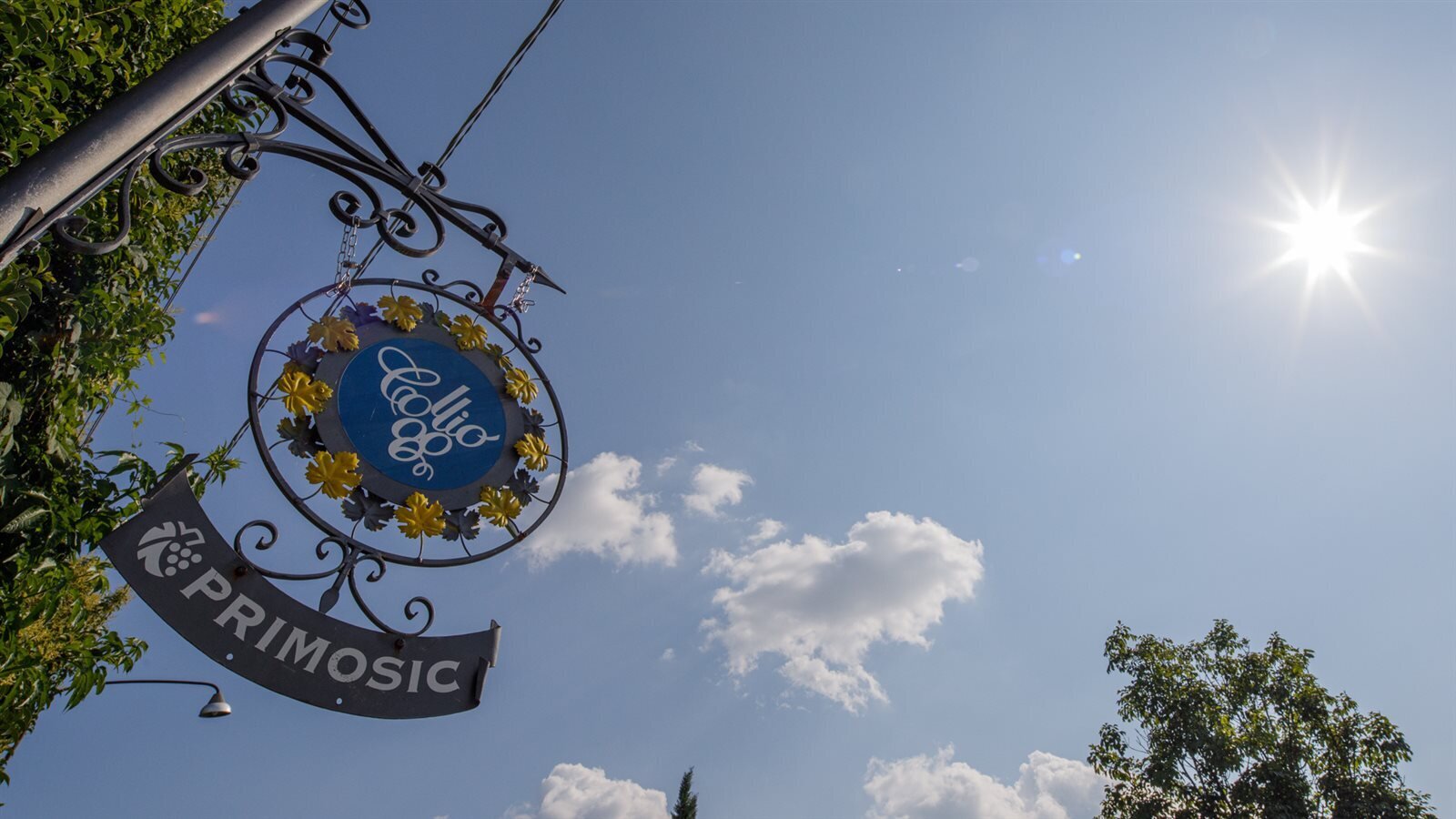 Primosic Primosic