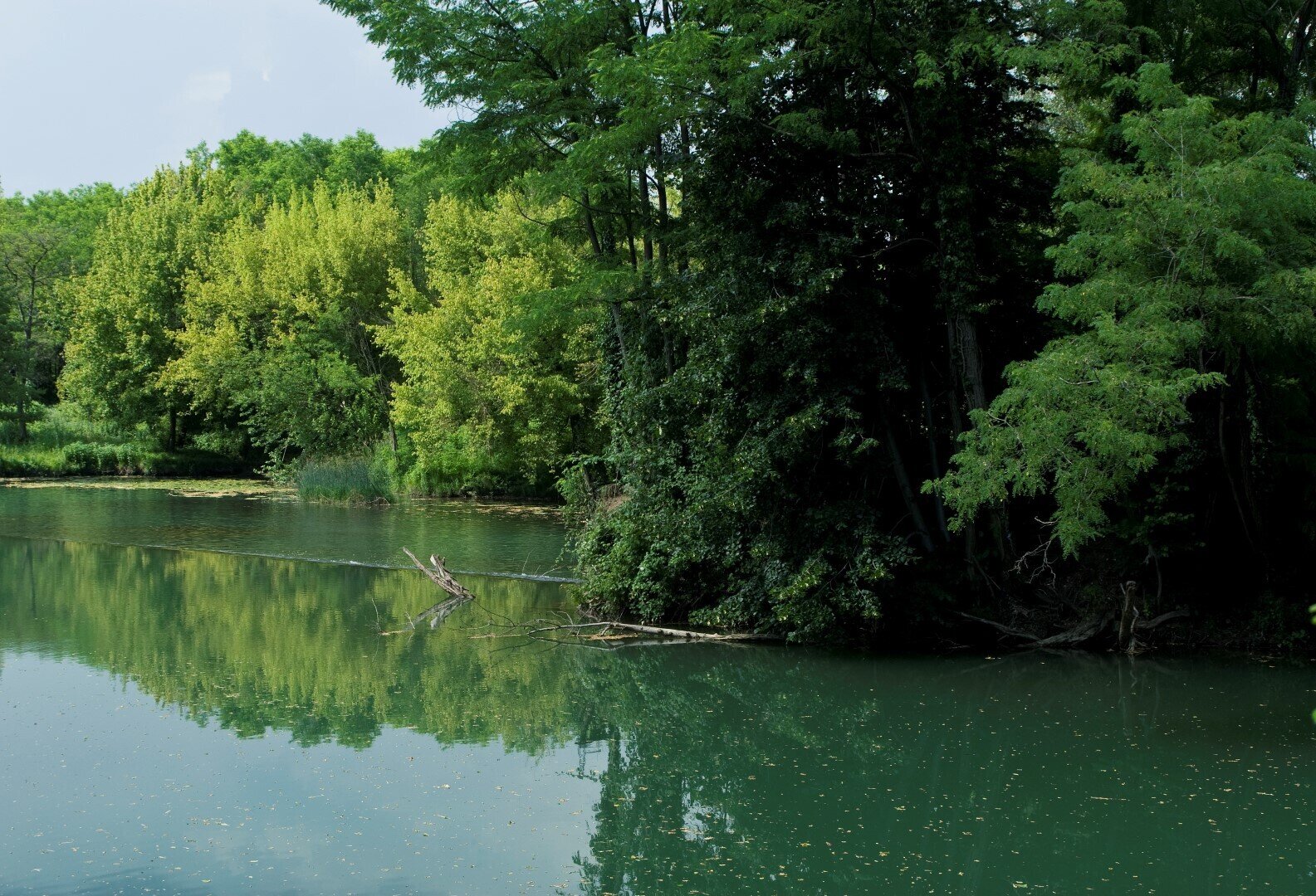 A pesca sul fiume Vipava A pesca sul fiume Vipava