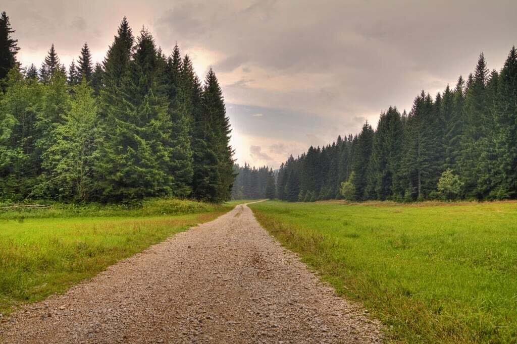 Nature Reserves on the Trnovo Forest Plateau