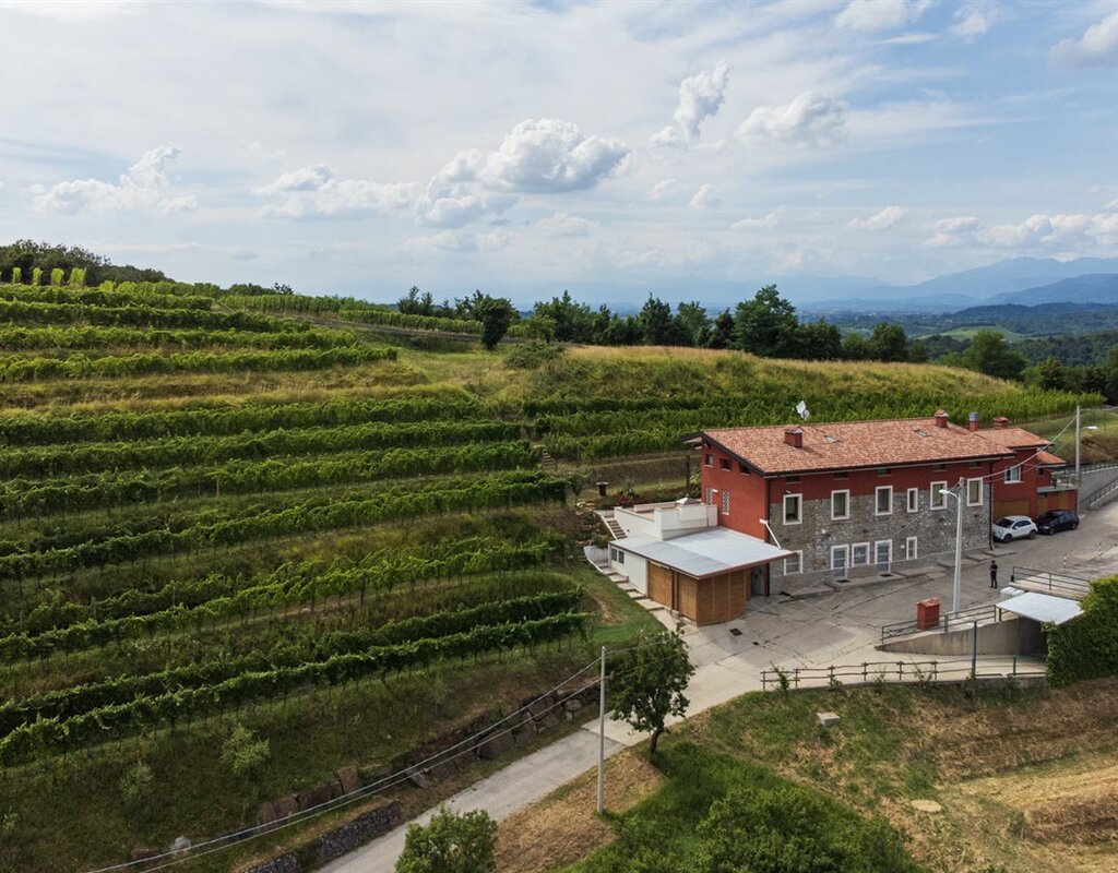 Tenuta Stella Tfvg 156815