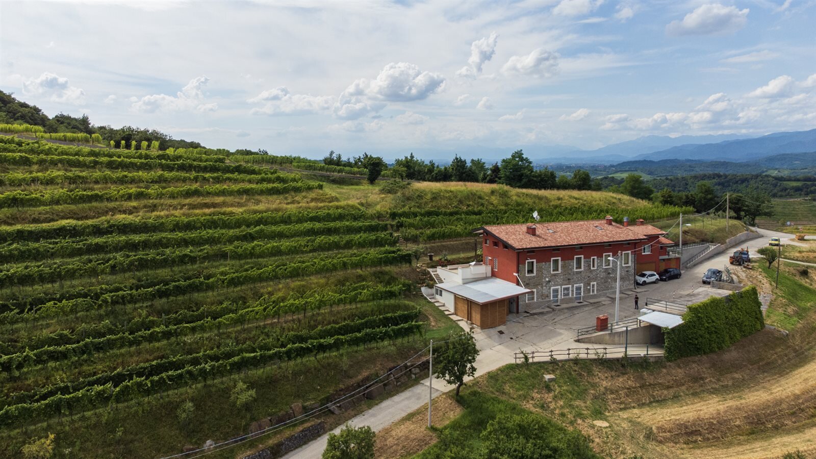 Tenuta Stella Tenuta Stella