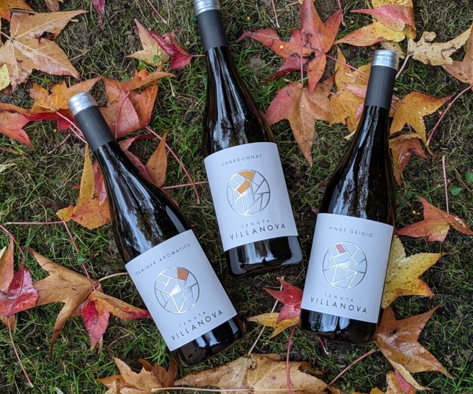 Proxyvfs.axd Image R348164 File Jpg