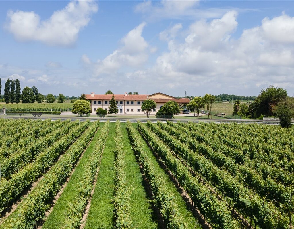 Proxyvfs.axd Main R77583 File Jpg