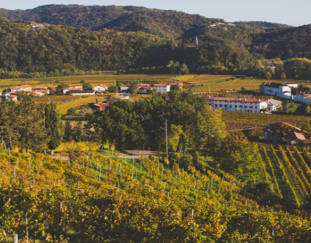 Vigna Lenuzza