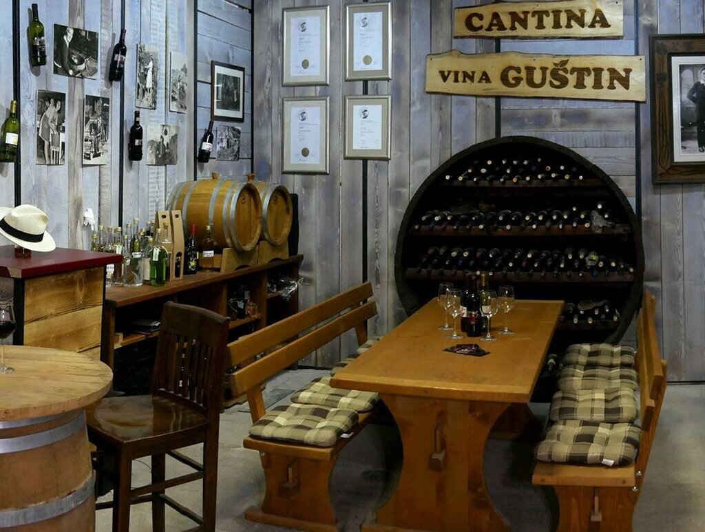 Vina Guštin