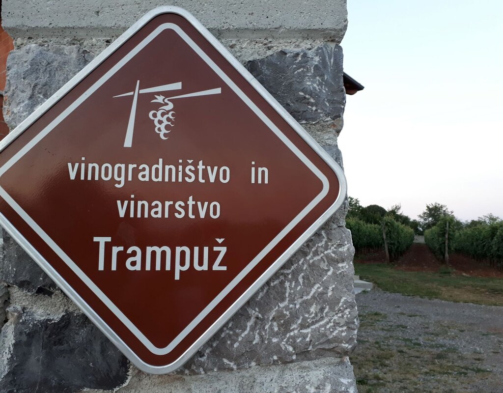 Vinogradništvo in vinarstvo Trampuž