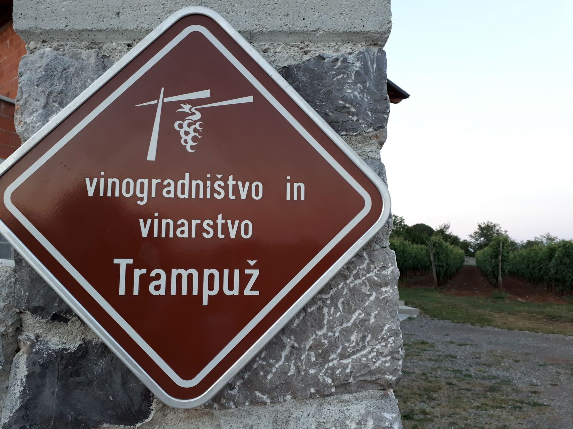 Vinogradništvo in vinarstvo Trampuž Vinogradništvo in vinarstvo Trampuž