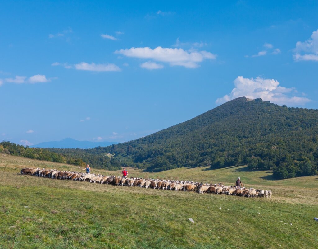 Upload Gallery 280 Gora Vremscica 1