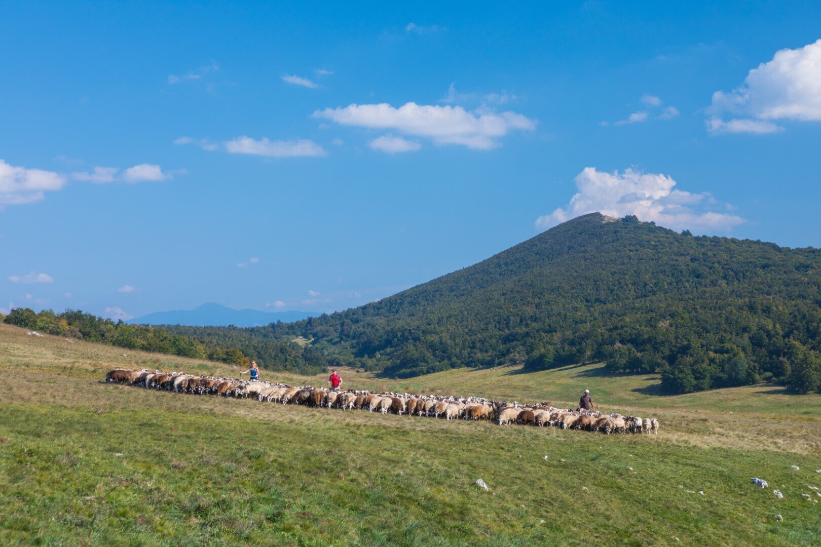 Vremščica Vremščica