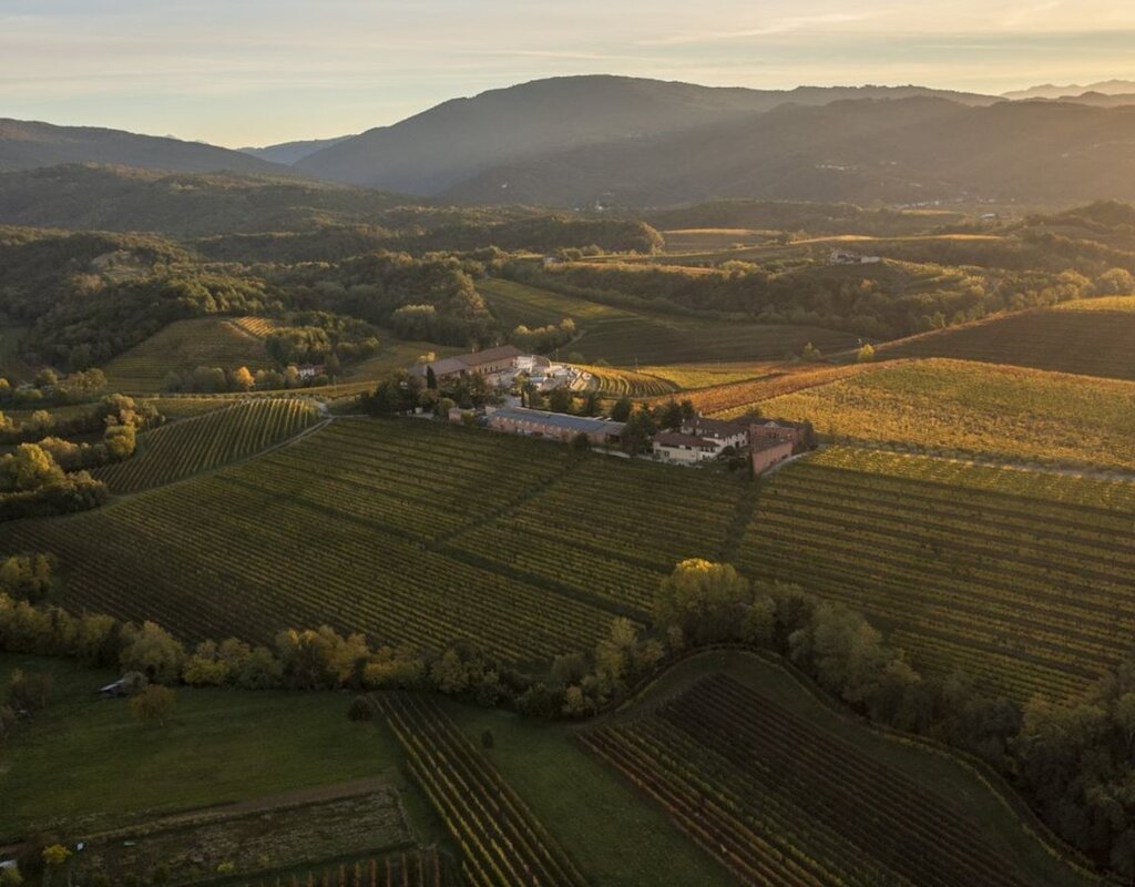 Proxyvfs.axd Main R179335 File Jpg